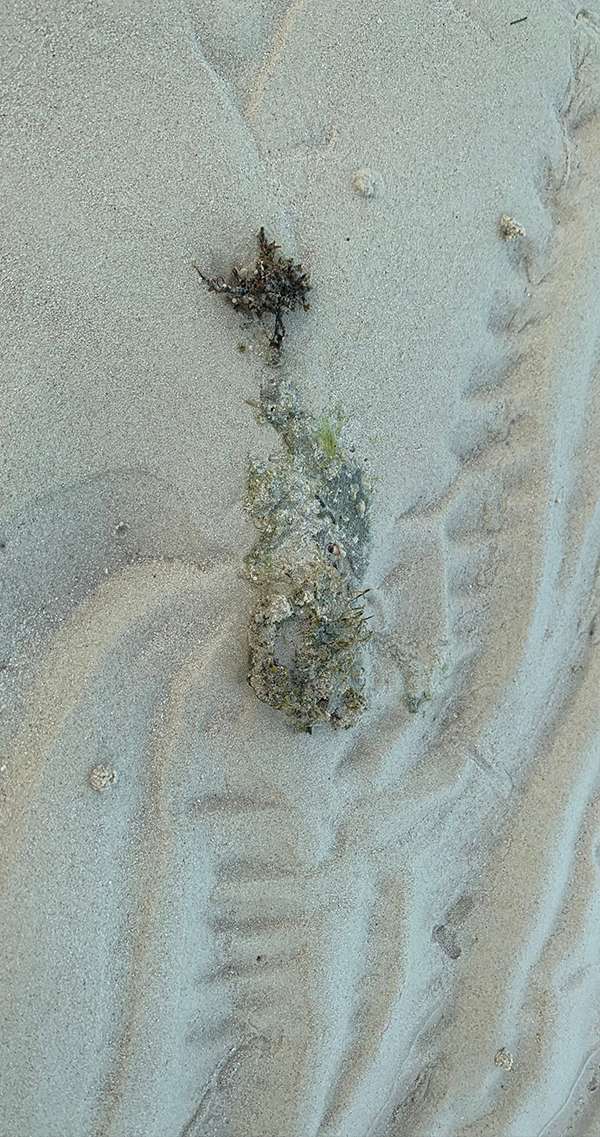 Traces of a footprint in soft rippled sand